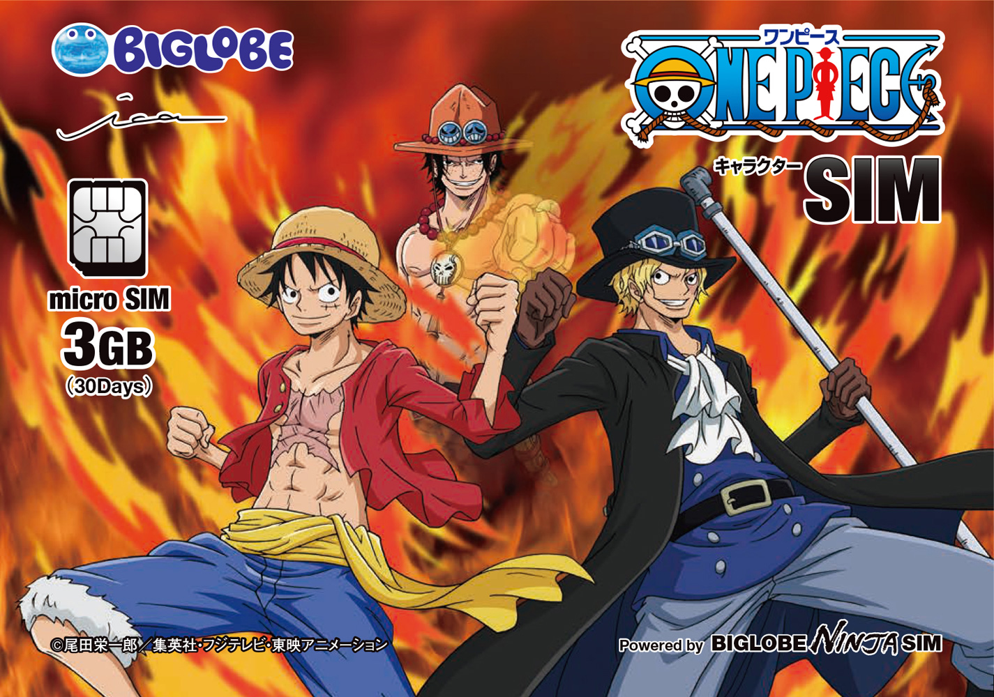 SIM ONE PIECE1