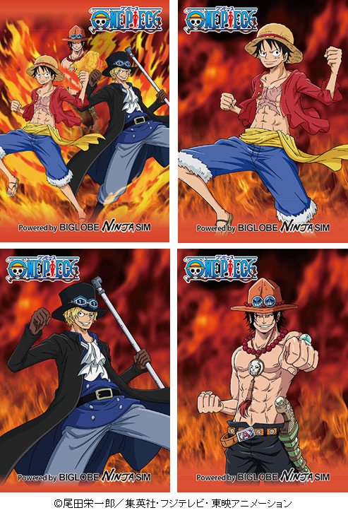 SIM ONE PIECE2