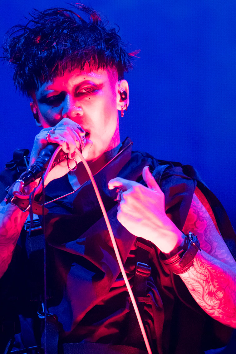 A Night of Destruction and Fusion: DIR EN GREY And PIERROT Jointly